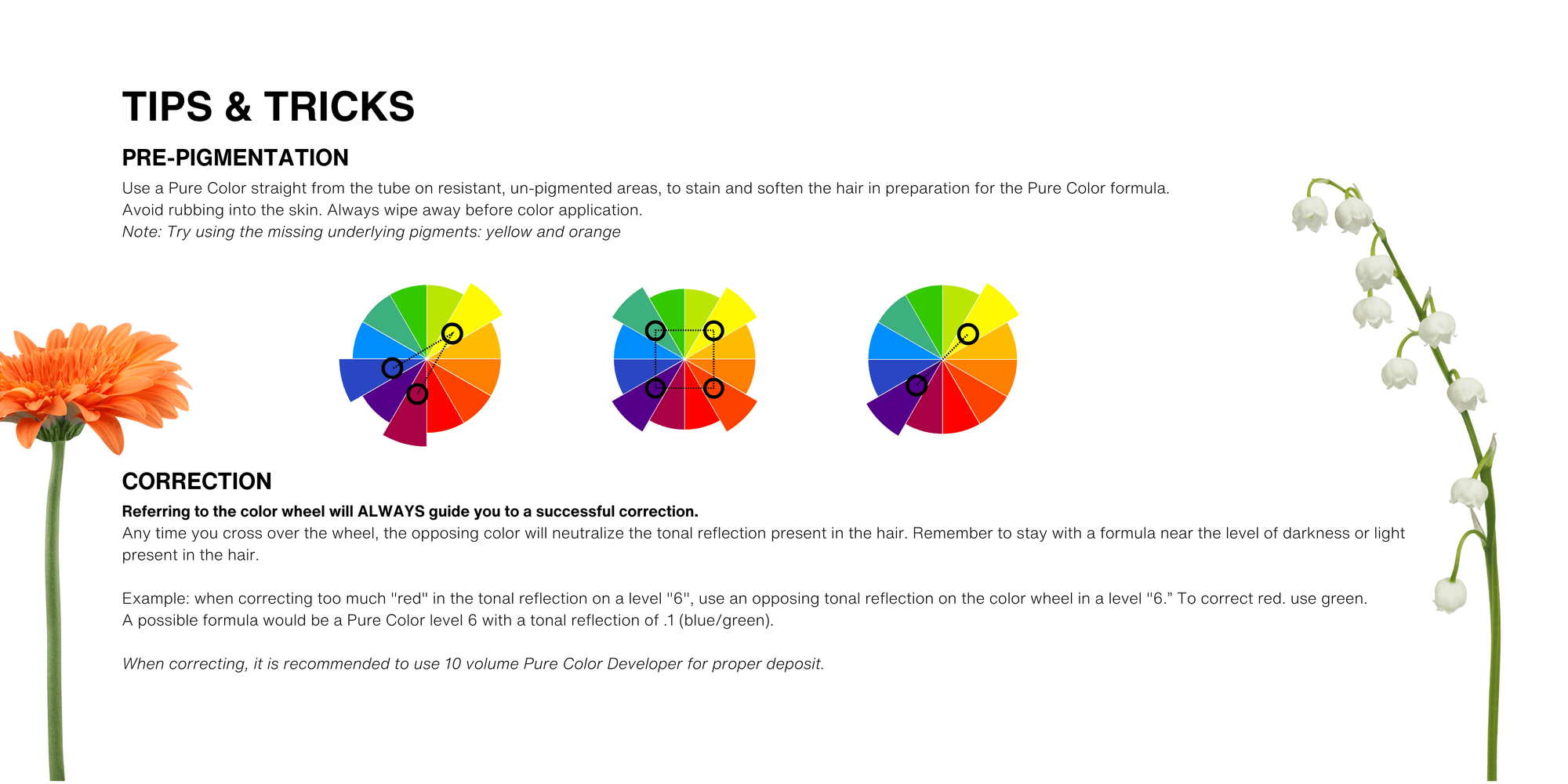 Pure Color Menu – American Culture Brands Pro