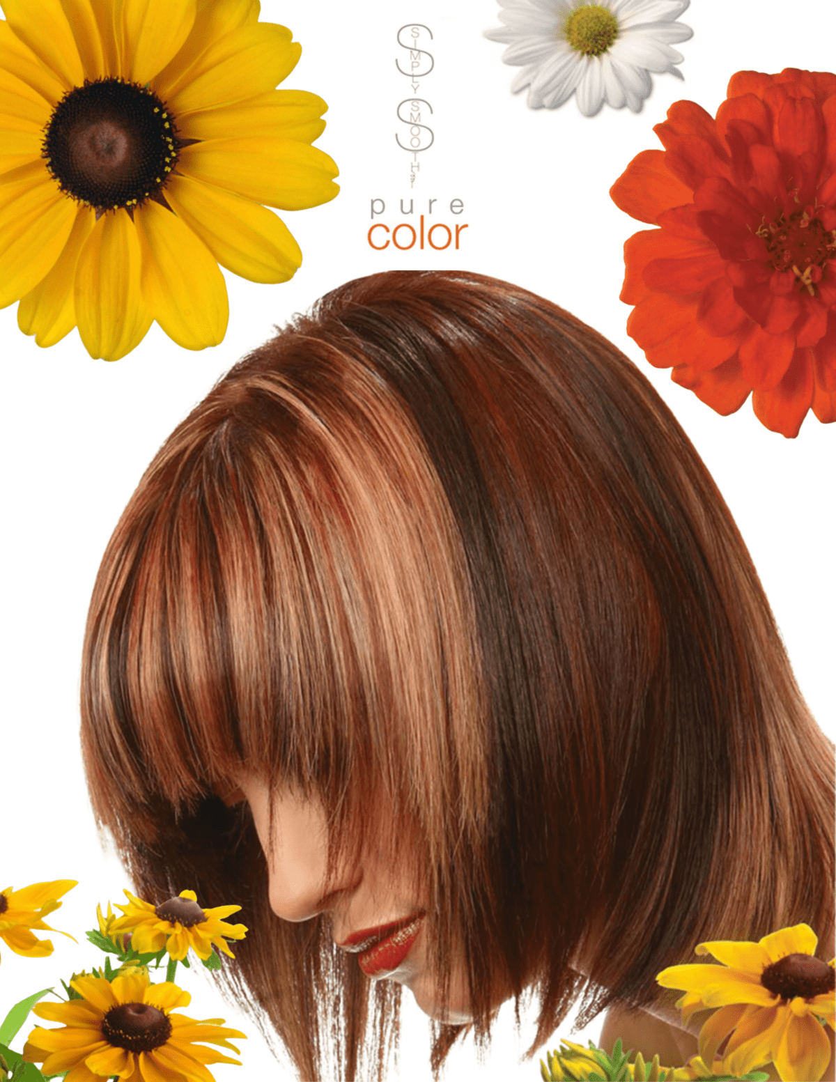 Pure Color Booklet Pure Color Menu – American Culture Brands Pro