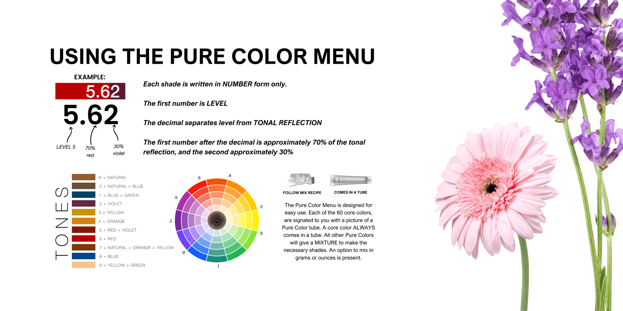 Pure Color Menu – American Culture Brands Pro